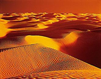 EA 2022财年Q2财报：收入破纪录 避免提及FIFA