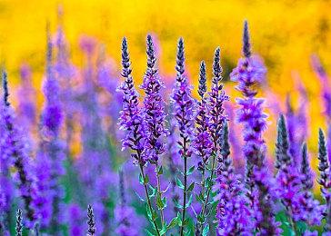 国产悬疑恐怖《吃香》试玩推出，新预告展示丰富场景